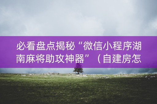 必看盘点揭秘“微信小程序湖南麻将助攻神器”（自建房怎么拿好牌)