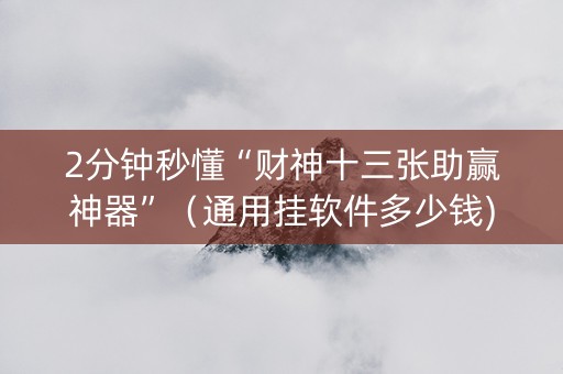 2分钟秒懂“财神十三张助赢神器”（通用挂软件多少钱)