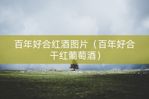 百年好合红酒图片（百年好合干红葡萄酒）