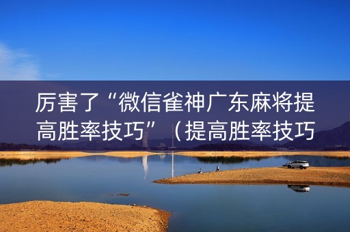 厉害了“微信雀神广东麻将提高胜率技巧”（提高胜率技巧)