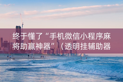 终于懂了“手机微信小程序麻将助赢神器”（透明挂辅助器)