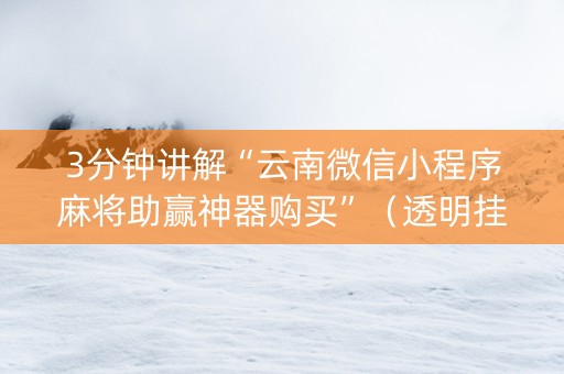 3分钟讲解“云南微信小程序麻将助赢神器购买”（透明挂辅助器)