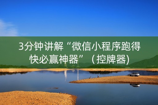 3分钟讲解“微信小程序跑得快必赢神器”（控牌器)