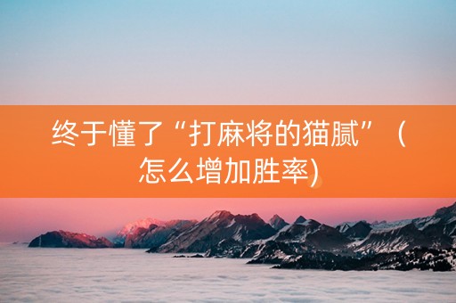 终于懂了“打麻将的猫腻”（怎么增加胜率)