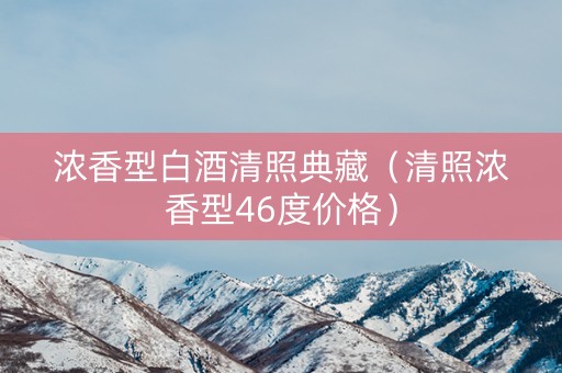 浓香型白酒清照典藏（清照浓香型46度价格）