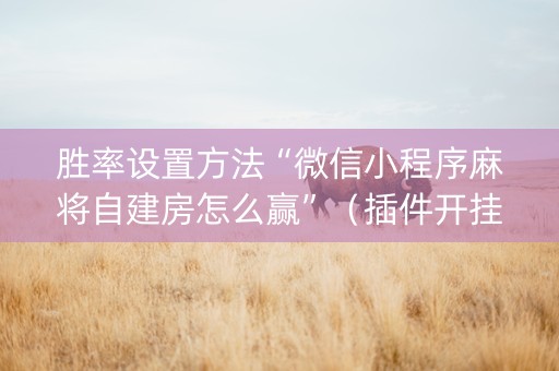 胜率设置方法“微信小程序麻将自建房怎么赢”（插件开挂免费AI)