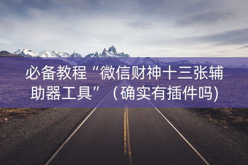 必备教程“微信财神十三张辅助器工具”（确实有插件吗)