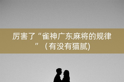 厉害了“雀神广东麻将的规律”（有没有猫腻)