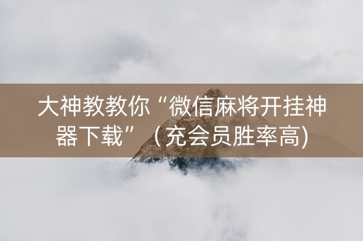 大神教教你“微信麻将开挂神器下载”（充会员胜率高)