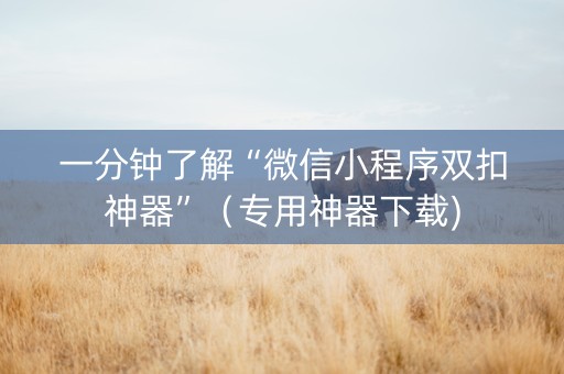 一分钟了解“微信小程序双扣神器”（专用神器下载)