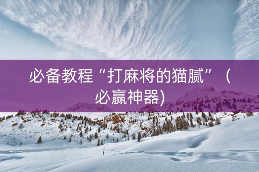 必备教程“打麻将的猫腻”（必赢神器)
