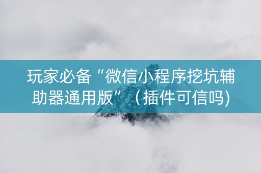 玩家必备“微信小程序挖坑辅助器通用版”（插件可信吗)