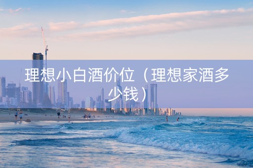 理想小白酒价位（理想家酒多少钱）