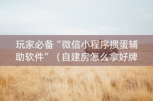 玩家必备“微信小程序掼蛋辅助软件”（自建房怎么拿好牌)