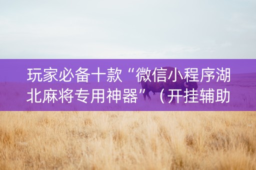 玩家必备十款“微信小程序湖北麻将专用神器”（开挂辅助脚本)