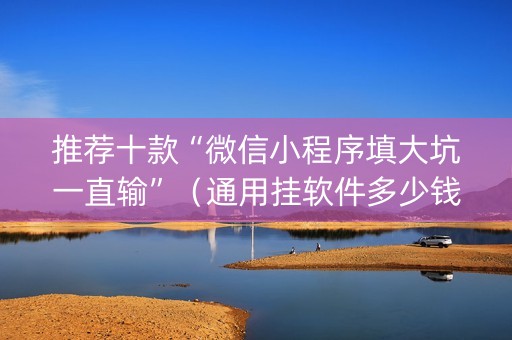 推荐十款“微信小程序填大坑一直输”（通用挂软件多少钱)