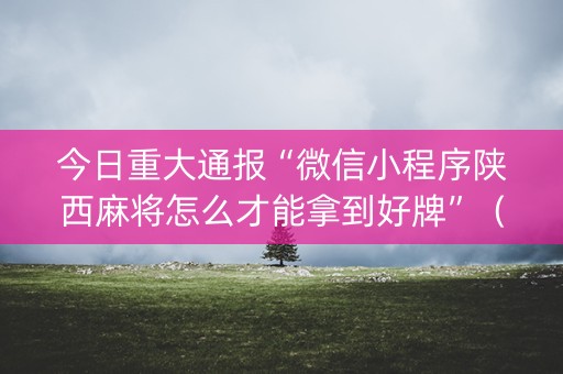 今日重大通报“微信小程序陕西麻将怎么才能拿到好牌”（辅助挂发牌规律)