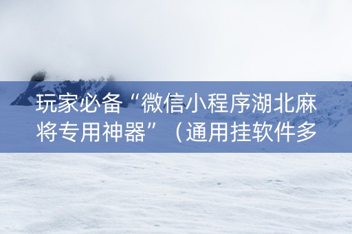 玩家必备“微信小程序湖北麻将专用神器”（通用挂软件多少钱)