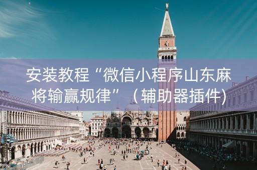 安装教程“微信小程序山东麻将输赢规律”（辅助器插件)