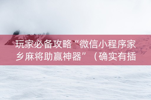 玩家必备攻略“微信小程序家乡麻将助赢神器”（确实有插件吗)