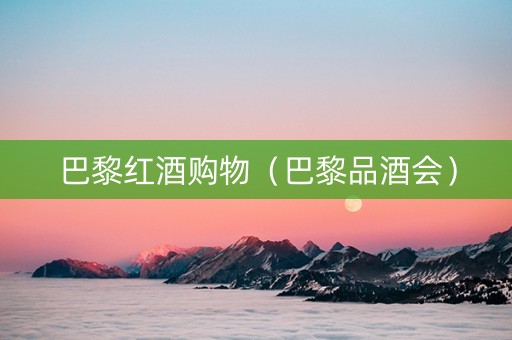 巴黎红酒购物（巴黎品酒会）