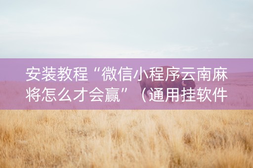 安装教程“微信小程序云南麻将怎么才会赢”（通用挂软件多少钱)