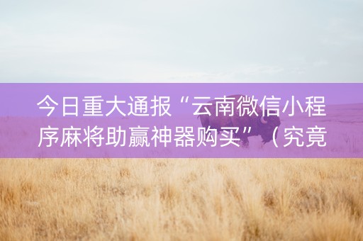 今日重大通报“云南微信小程序麻将助赢神器购买”（究竟是不是有挂)