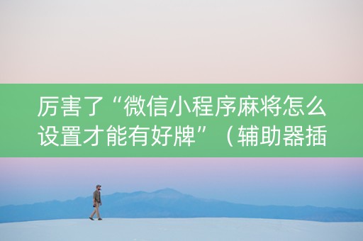 厉害了“微信小程序麻将怎么设置才能有好牌”（辅助器插件)