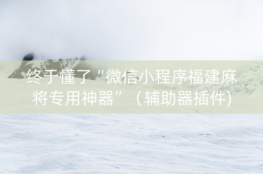 终于懂了“微信小程序福建麻将专用神器”（辅助器插件)