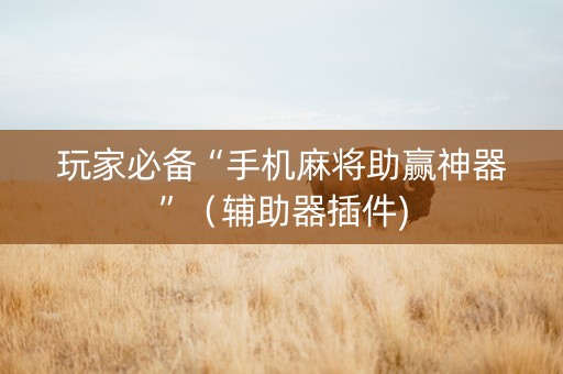 玩家必备“手机麻将助赢神器”（辅助器插件)