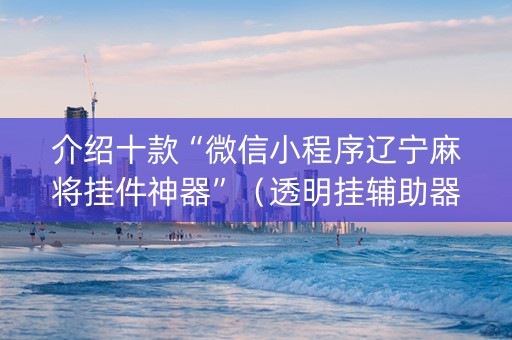 介绍十款“微信小程序辽宁麻将挂件神器”（透明挂辅助器)