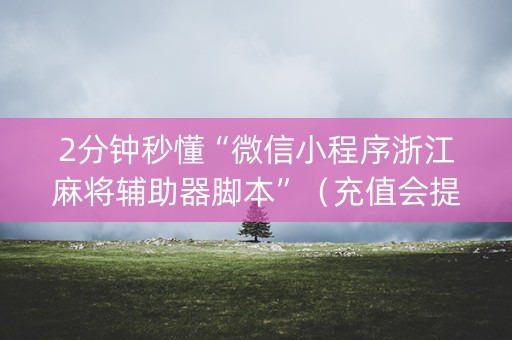 2分钟秒懂“微信小程序浙江麻将辅助器脚本”（充值会提高胜率么)