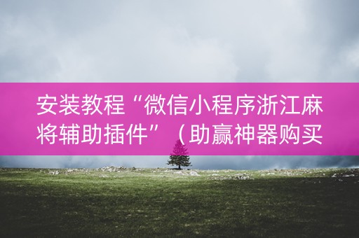 安装教程“微信小程序浙江麻将辅助插件”（助赢神器购买)