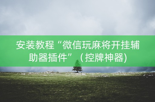 安装教程“微信玩麻将开挂辅助器插件”（控牌神器)