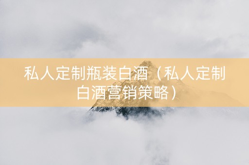 私人定制瓶装白酒（私人定制白酒营销策略）