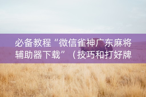 必备教程“微信雀神广东麻将辅助器下载”（技巧和打好牌方法)
