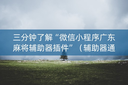 三分钟了解“微信小程序广东麻将辅助器插件”（辅助器通用版)