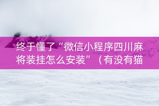 终于懂了“微信小程序四川麻将装挂怎么安装”（有没有猫腻)
