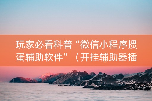 玩家必看科普“微信小程序掼蛋辅助软件”（开挂辅助器插件)