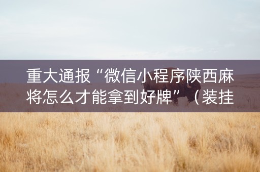 重大通报“微信小程序陕西麻将怎么才能拿到好牌”（装挂怎么安装)