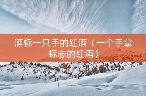 酒标一只手的红酒（一个手掌标志的红酒）