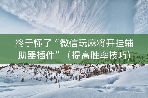 终于懂了“微信玩麻将开挂辅助器插件”（提高胜率技巧)
