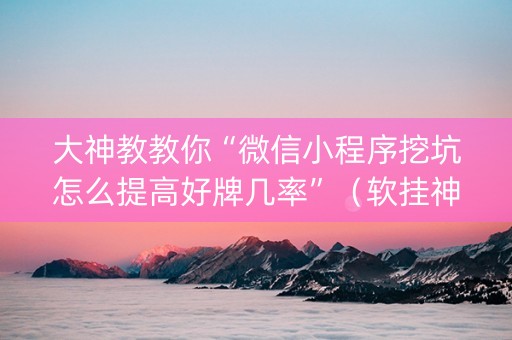 大神教教你“微信小程序挖坑怎么提高好牌几率”（软挂神器)