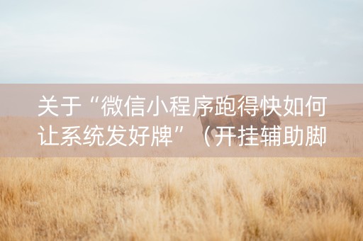 关于“微信小程序跑得快如何让系统发好牌”（开挂辅助脚本)