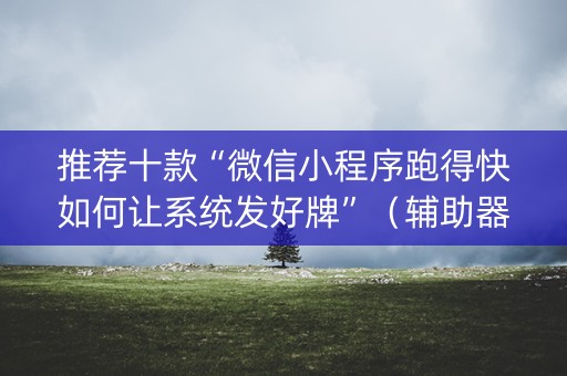 推荐十款“微信小程序跑得快如何让系统发好牌”（辅助器下载)