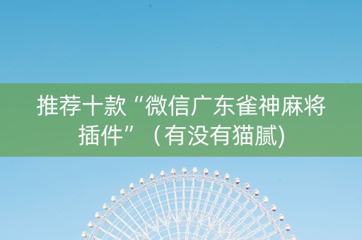 推荐十款“微信广东雀神麻将插件”（有没有猫腻)