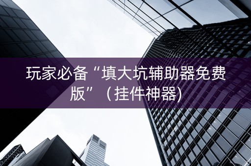 玩家必备“填大坑辅助器免费版”（挂件神器)