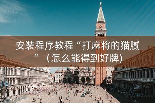 安装程序教程“打麻将的猫腻”（怎么能得到好牌)