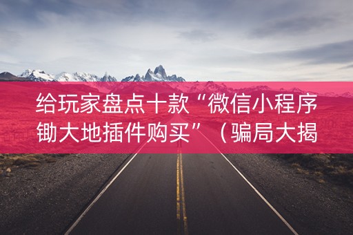 给玩家盘点十款“微信小程序锄大地插件购买”（骗局大揭秘)