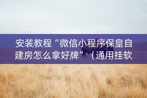 安装教程“微信小程序保皇自建房怎么拿好牌”（通用挂软件多少钱)